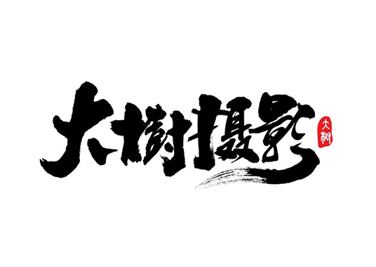 蚌埠大樹(shù)攝影